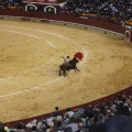 Castellón, Magdalena 2013