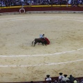 Castellón, Magdalena 2013