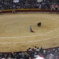 Castellón, Magdalena 2013