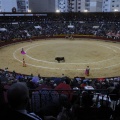 Castellón, Magdalena 2013