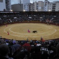 Castellón, Magdalena 2013