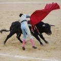 Castellón, Magdalena 2013