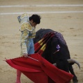 Castellón, Magdalena 2013