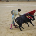 Castellón, Magdalena 2013