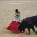 Castellón, Magdalena 2013