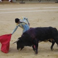 Castellón, Magdalena 2013