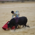 Castellón, Magdalena 2013