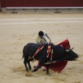 Castellón, Magdalena 2013