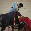 Castellón, Magdalena 2013