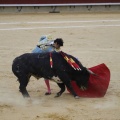 Castellón, Magdalena 2013