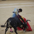 Castellón, Magdalena 2013
