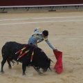 Castellón, Magdalena 2013