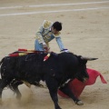 Castellón, Magdalena 2013