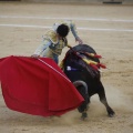 Castellón, Magdalena 2013