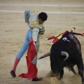 Castellón, Magdalena 2013
