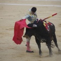 Castellón, Magdalena 2013