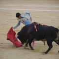 Castellón, Magdalena 2013