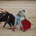Castellón, Magdalena 2013