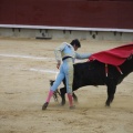 Castellón, Magdalena 2013