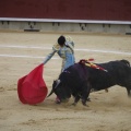 Castellón, Magdalena 2013