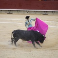 Castellón, Magdalena 2013