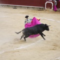 Castellón, Magdalena 2013