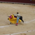 Castellón, Magdalena 2013