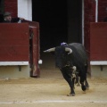 Castellón, Magdalena 2013