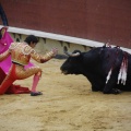 Castellón, Magdalena 2013