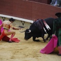 Castellón, Magdalena 2013