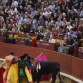 Castellón, Magdalena 2013