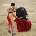 Castellón, Magdalena 2013