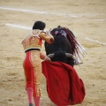 Castellón, Magdalena 2013