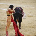 Castellón, Magdalena 2013