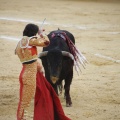 Castellón, Magdalena 2013