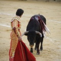 Castellón, Magdalena 2013