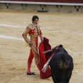 Castellón, Magdalena 2013