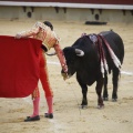 Castellón, Magdalena 2013