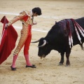 Castellón, Magdalena 2013