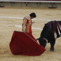 Castellón, Magdalena 2013
