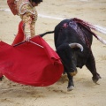 Castellón, Magdalena 2013