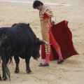Castellón, Magdalena 2013