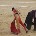 Castellón, Magdalena 2013