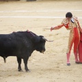 Castellón, Magdalena 2013