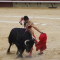 Castellón, Magdalena 2013
