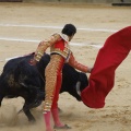 Castellón, Magdalena 2013