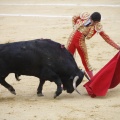 Castellón, Magdalena 2013