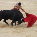 Castellón, Magdalena 2013