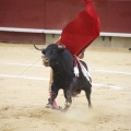 Castellón, Magdalena 2013