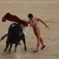Castellón, Magdalena 2013